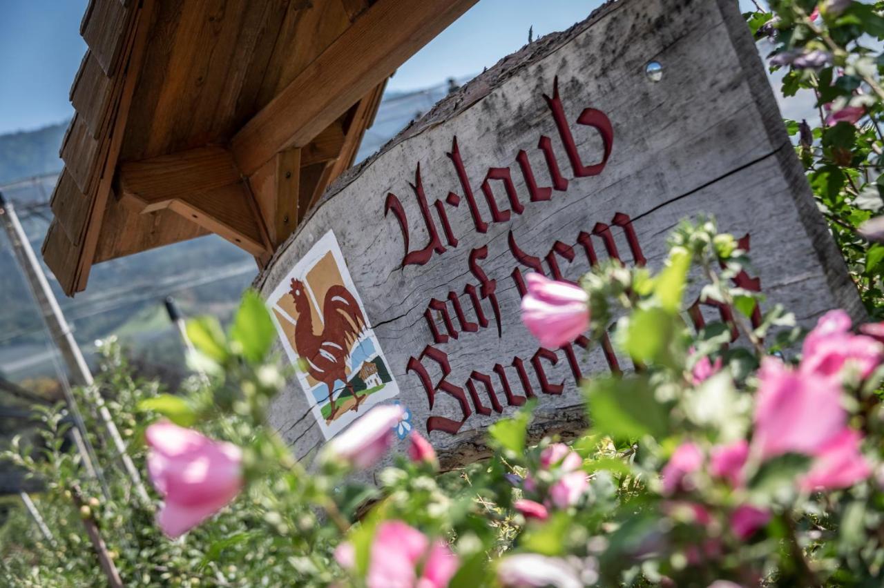 Plunerhof Schenna Bagian luar foto