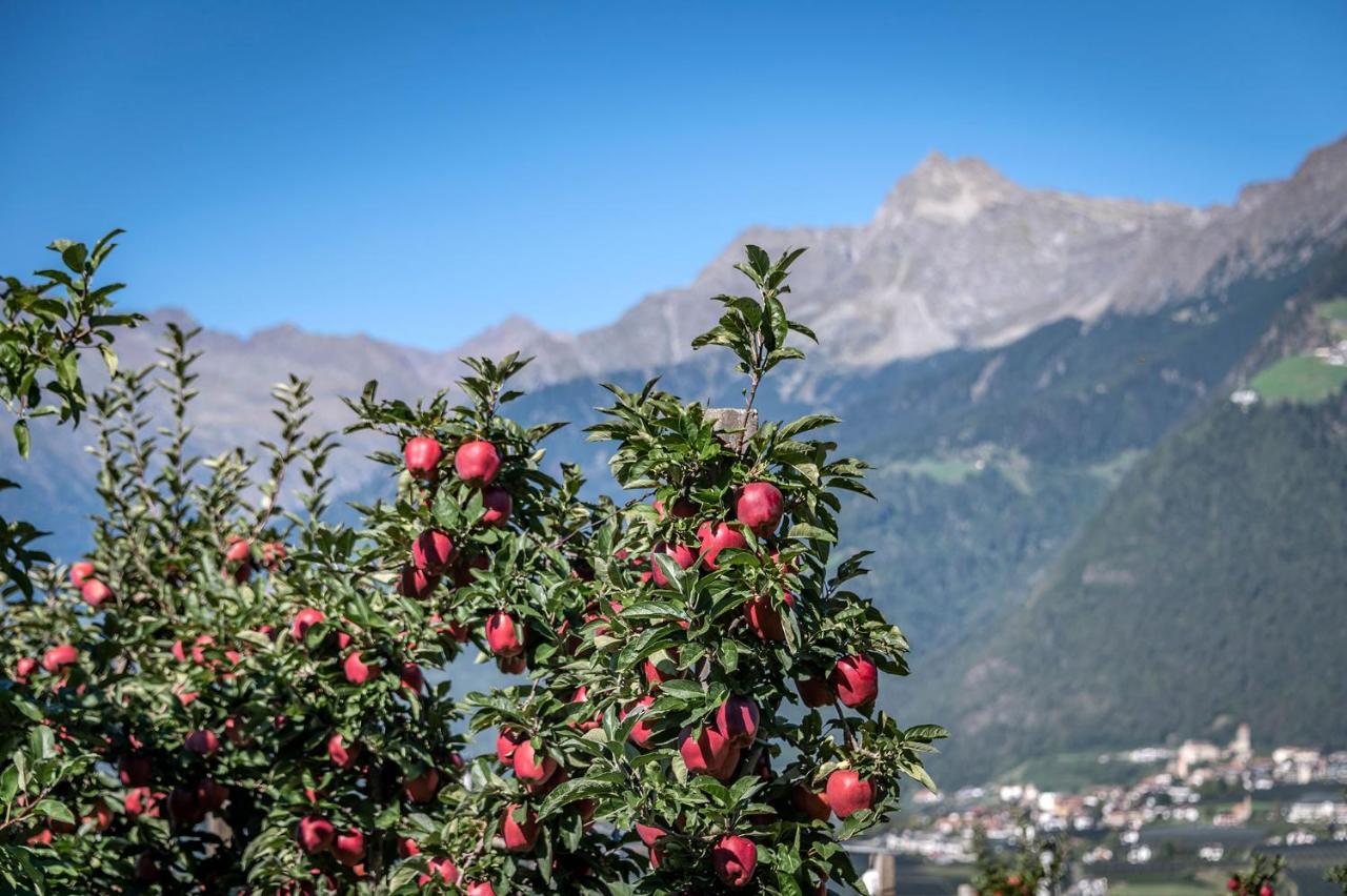 Plunerhof Schenna Bagian luar foto
