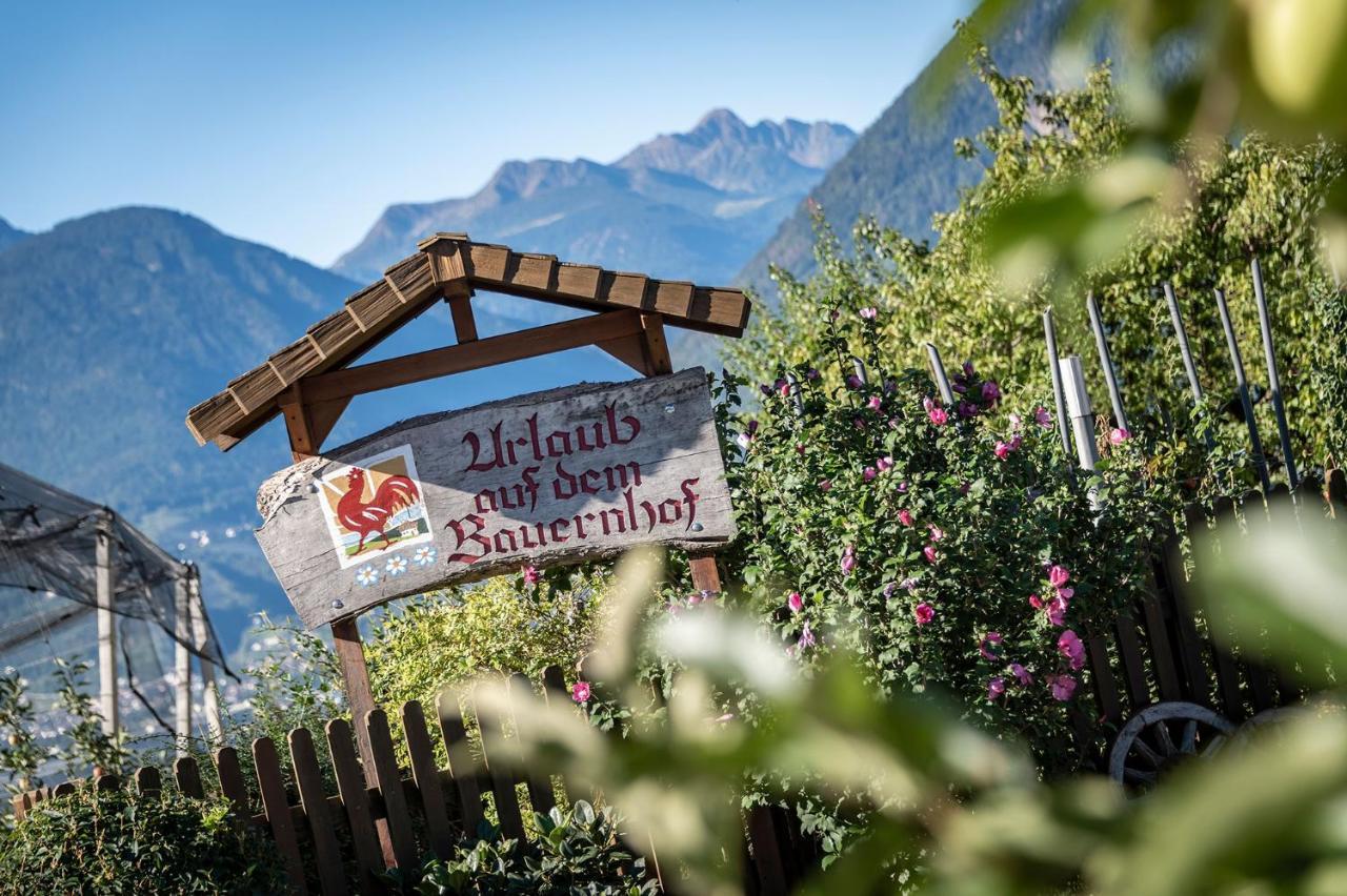 Plunerhof Schenna Bagian luar foto