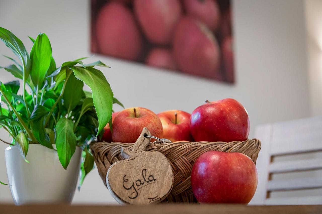 Plunerhof Schenna Bagian luar foto
